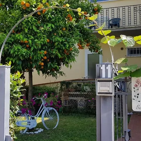 Frühstückspension Noemi Pisa